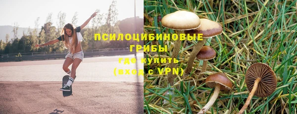 МДПВ Протвино