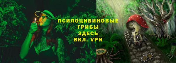 спайс Пролетарск